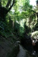 Monkeyforest in Ubud