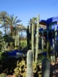 Kaktusgarten im Jardin Majorelle