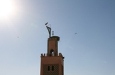 Storchennest auf einem Minarett