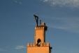 Storch auf dem Minarett