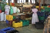 Bluefield Teafactory - groben Stngel und Abfall werden ausgesiebt